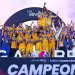 Tigres Femenil se consagra con séptimo título de Liga MX