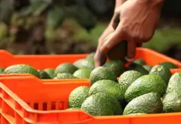 Impacto en las relaciones comerciales entre México y EU