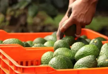 Impacto en las relaciones comerciales entre México y EU