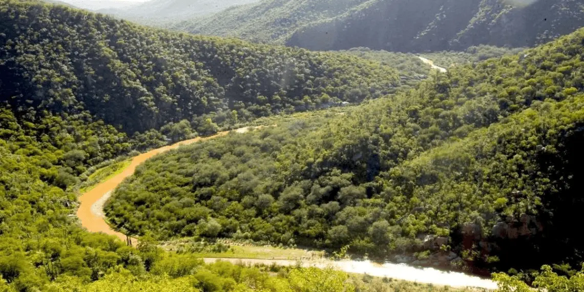 Claudia Sheinbaum exige reparar daño ambiental