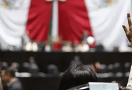 Reforma electoral y obstáculos: pluris en el horno, ciudadanía y representatividad 