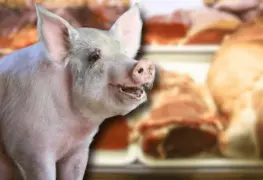 México activa bloqueo porcino contra España