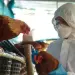 Especialistas de la UNAM advierten sobre gripe aviar H5N1