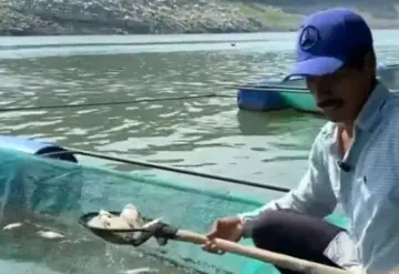 Infección bacteriana golpea la acuicultura en Chiapas