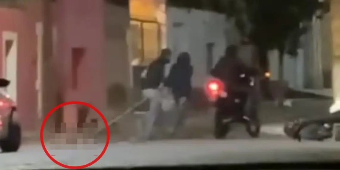 Indignación por maltrato animal en Zacatecas