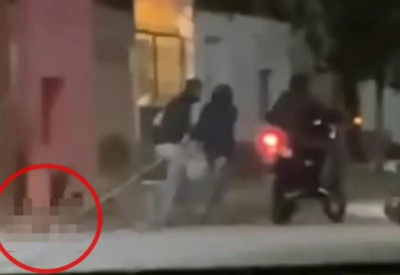 Indignación por maltrato animal en Zacatecas