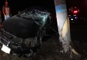 No movieron el árbol