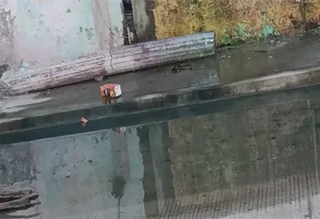 Ya no aguantan la pestilencia