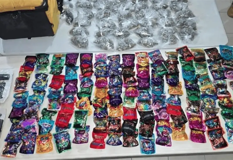 SSPC desmantela red de narcomenudeo en escuelas de Centro