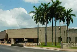 Cumplea&ntilde;os de la casa de los libros
