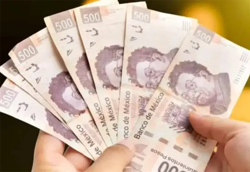 El MIR eleva el salario mínimo para 2026