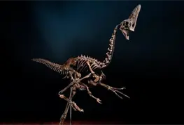 Subasta f&oacute;sil de dinosaurio de 68 millones de a&ntilde;os