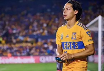 Tigres vs Toluca, definición del campeón del apertura 2025