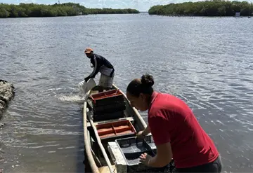 Cultivo de osti&oacute;n en la Laguna Mecoac&aacute;n: entre la incertidumbre y los derrames petroleros