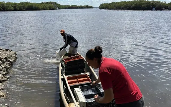 Cultivo de osti&oacute;n en la Laguna Mecoac&aacute;n: entre la incertidumbre y los derrames petroleros