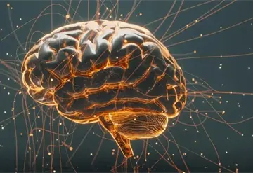 Estudio revela c&oacute;mo convertir la arquitectura cerebral en sonidos