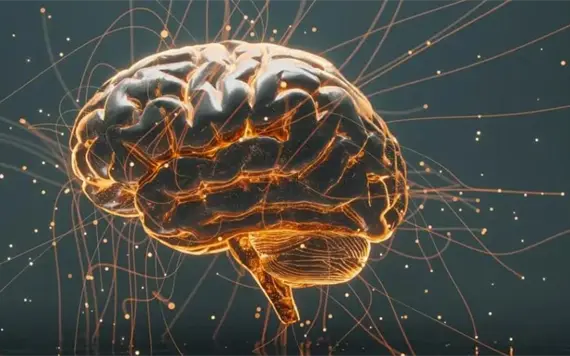 Estudio revela c&oacute;mo convertir la arquitectura cerebral en sonidos