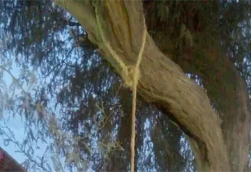 Investigaci&oacute;n en curso tras hallazgo de hombre sin vida