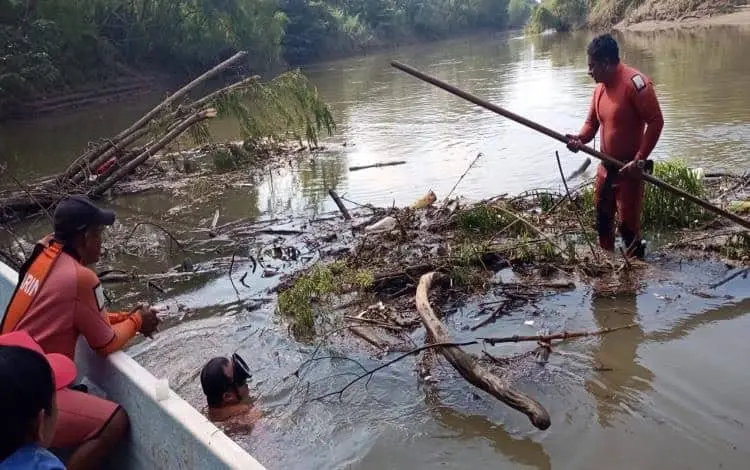 Once d&iacute;as de b&uacute;squeda