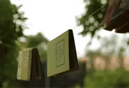 Tres bellos cuerpos de papel