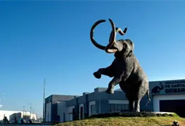Conservaci&oacute;n y restauraci&oacute;n del esqueleto de Nochipa, mamut hembra en el AIFA