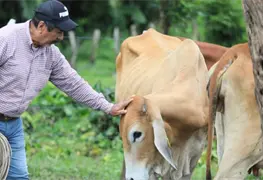 Beneficiarios agradecen al Gobierno del Pueblo por Programa Cr&eacute;dito Ganadero