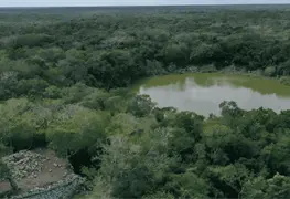 Nuevo hallazgo en Yucat&aacute;n