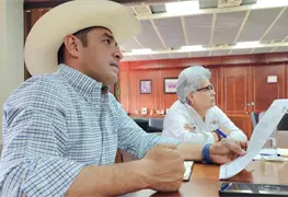 Disminuyen casos de gusano barrenador en ganado de Tabasco