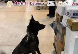 Operativo conjunto asegura fentanilo en el AICM