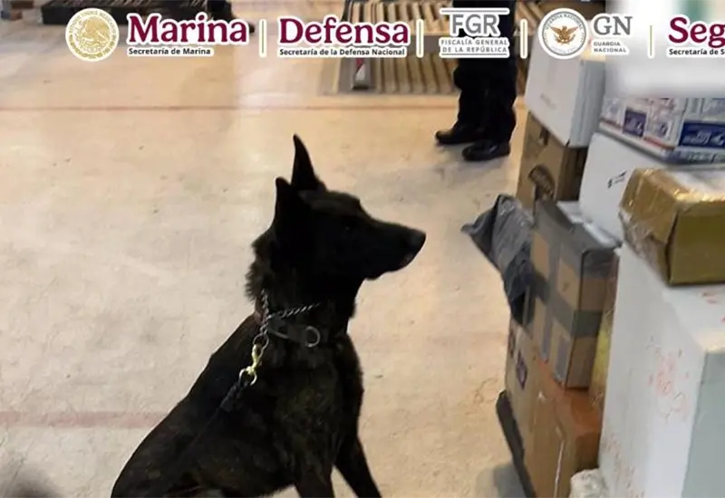 Operativo conjunto asegura fentanilo en el AICM