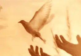 Por mi raza hablar&aacute; el esp&iacute;ritu &iquest;santo?