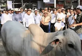 Lanzan concursos Orgullo del Campo en la Feria Tabasco 2026