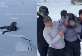 Ataque de Leopardo de las Nieves a Esquiadora en China