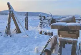 Mosc&uacute; bajo ola de fr&iacute;o tras nevadas intensas