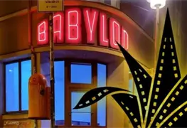 Cineasta Udi Aloni presente en Festival Guadalajara Berl&iacute;n