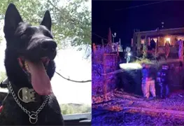 Perrito Polic&iacute;a Vico es un H&eacute;roe Ca&iacute;do en Defensa de V&iacute;ctimas de Violencia Familiar