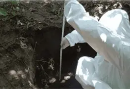 Seguridad prioritaria en el sur de Veracruz