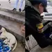 Polic&iacute;a de Bucaramanga rescata a perrita callejera en pleno parto