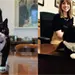 Muere Palmerston, el legendario gato diplom&aacute;tico del Foreign Office brit&aacute;nico