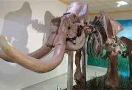 Descubren trampas prehisp&aacute;nicas en el Museo del Mamut de Tultepec