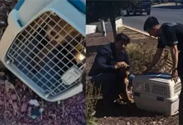 Futbolista de Pachuca salva a canino en peligro en Bulevar Colosio