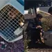 Futbolista de Pachuca salva a canino en peligro en Bulevar Colosio