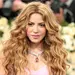 Shakira compite por un lugar en el Sal&oacute;n de la Fama del Rock & Roll