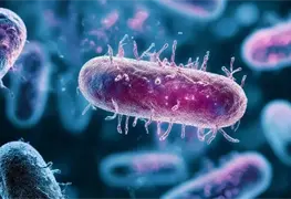 Estudio revela adaptabilidad de Psychrobacter SC65A.3 y su genoma