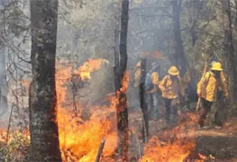 Temporada de incendios forestales presenta retos ante cambio clim&aacute;tico