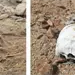Investigaci&oacute;n en Sonora por restos humanos hallados en zona des&eacute;rtica