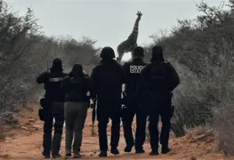 Crecen jirafas en pleno desierto de Coahuila