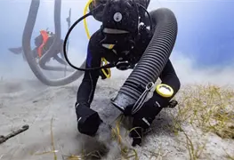 Hallan fragmento de m&aacute;rmol en naufragio del Mentor