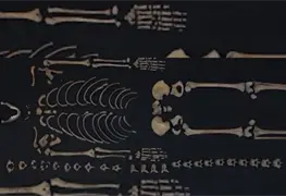 Cultura mexica y hallazgos funerarios en Tlatelolco
