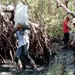 Derrame de hidrocarburos alcanza playas de Veracruz
